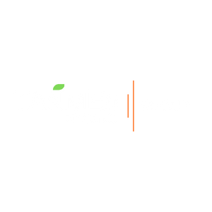 Tanmer Group 